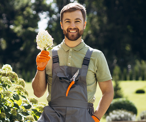 services gardening and landscaping