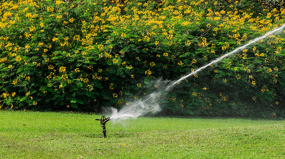 gardening and landscaping service