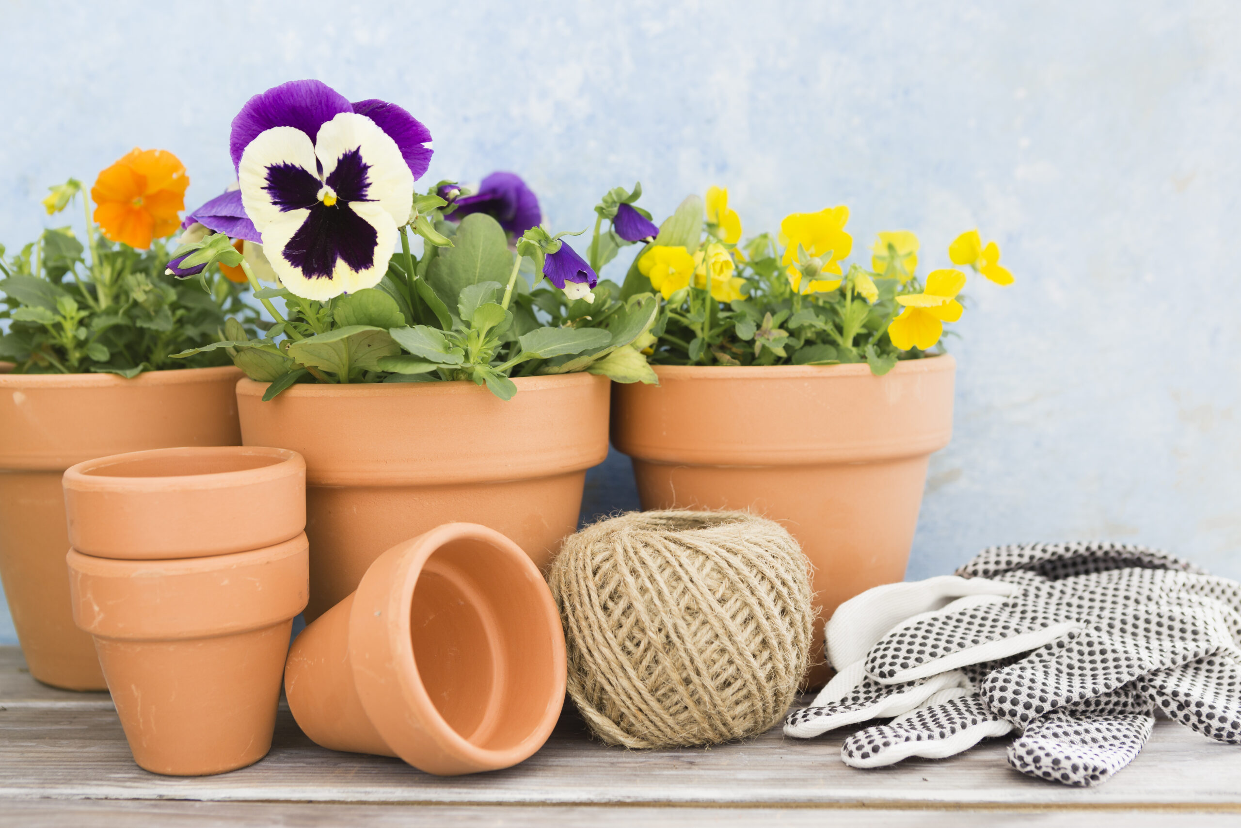 gardening and landscaping