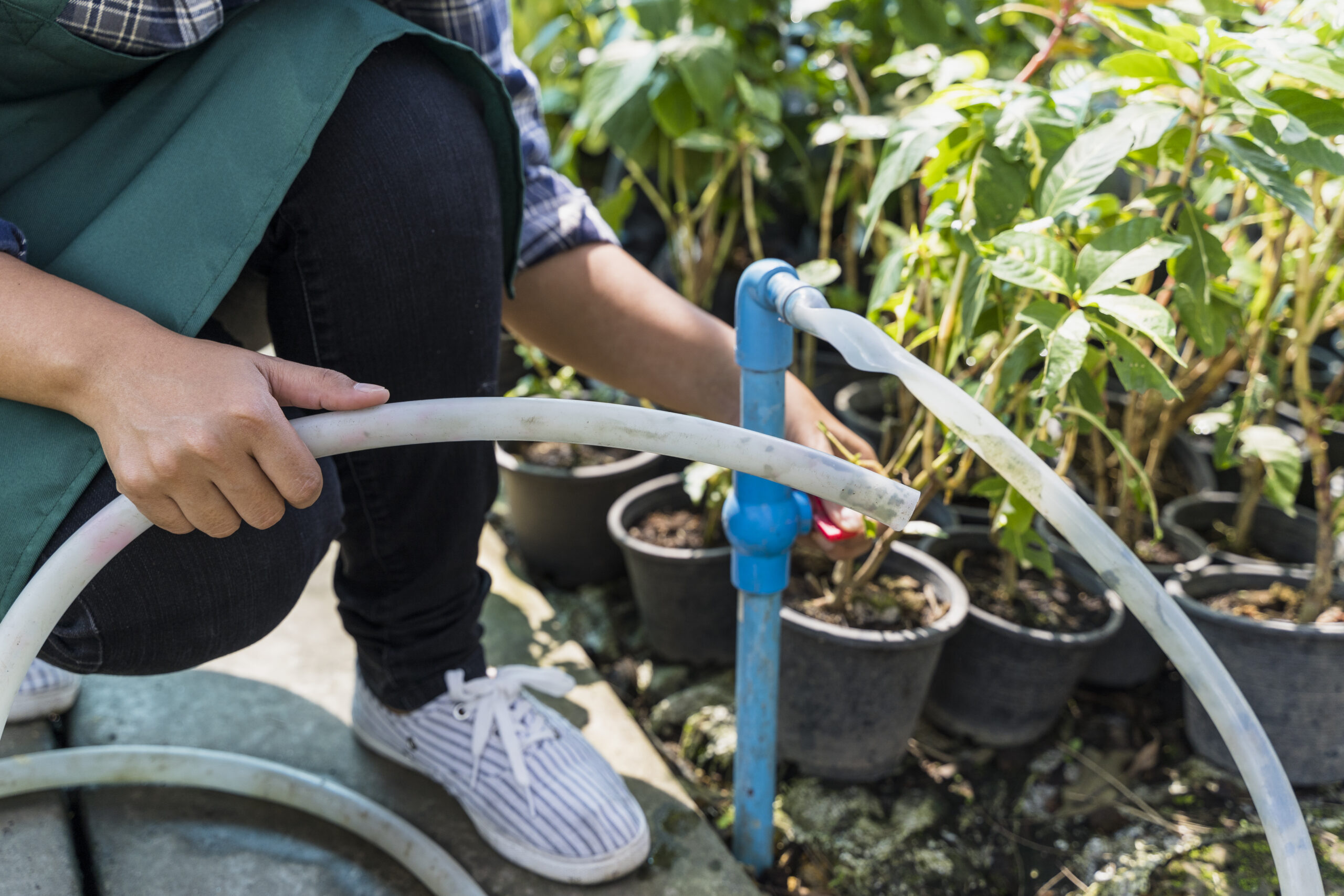 gardening pipe