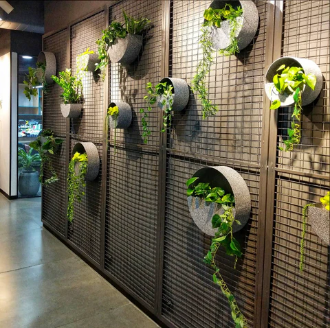 vertical gardning near me